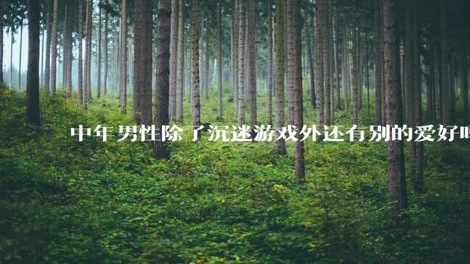 中年男性除了沉迷游戏外还有别的爱好吗？